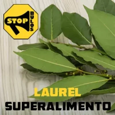 Es el Laurel un superalimento?